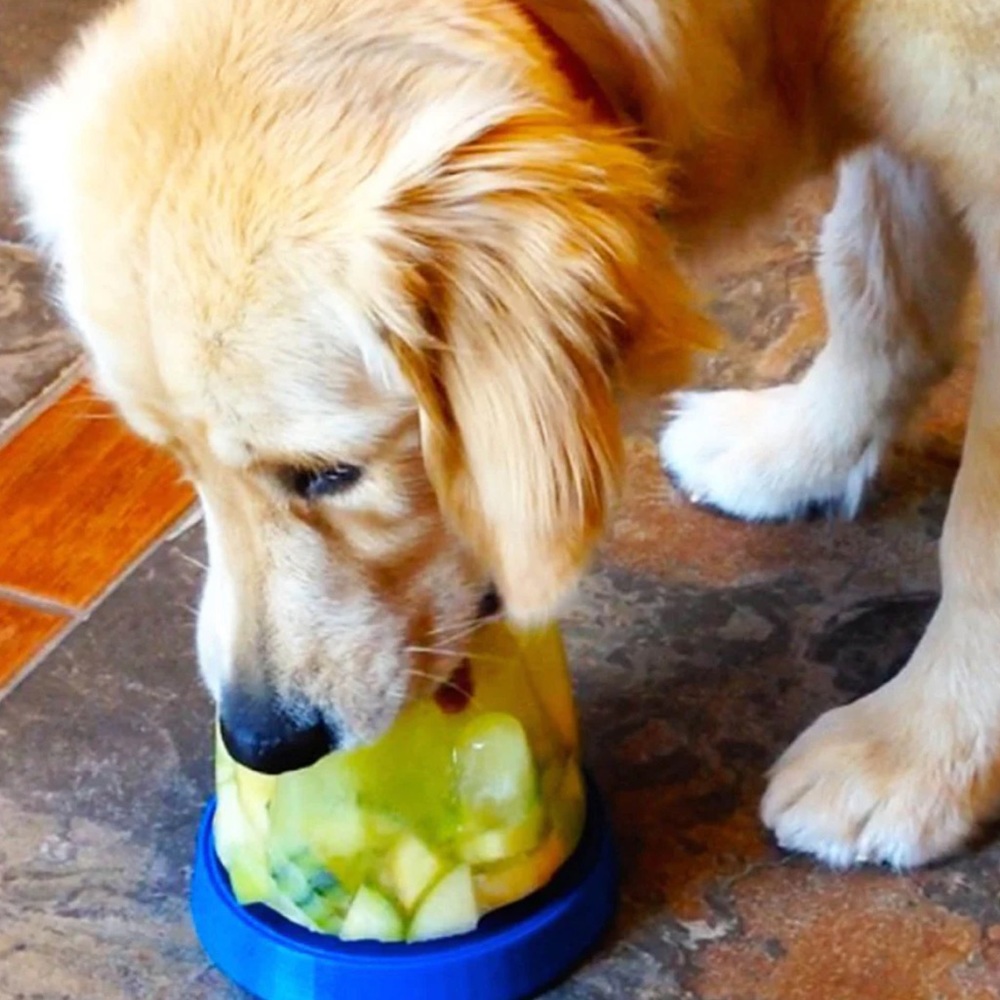 Doggie Cone DIY Frozen Dog Treat NEW
